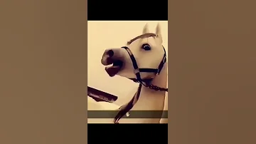 صوت صهيل الخيل يطرب 