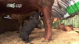 순간 포착 세상에 이런 일이 130912 #9(5)
