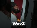 Bugle Compliments WavZ Evidence Music mp3