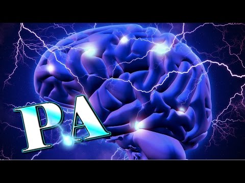 ⚡La Electricidad del CEREBRO 🧠