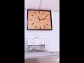 cua hang chuot hamster New 2022 Ship chuột hamster robo cho khách LoHa Pet Shop #shorts