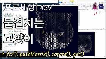 [프로세싱] 물결치는 고양이 Create a plaid pattern with waving cat images on Processing Code