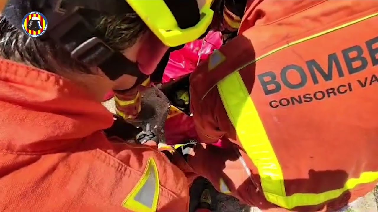 Los bomberos rescatan a un perro atrapado en una acequia de Ontinyent