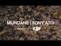 Sony A7III | DJI Mini 2 Cinematic