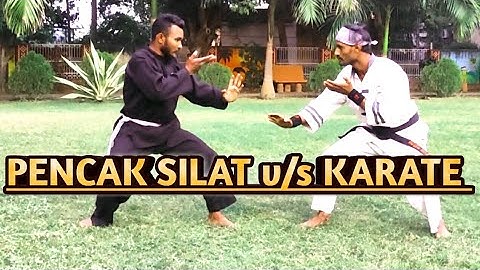Teaser Video || SK AYUB || Pencak silat Front sweep kick tutorials in hindi