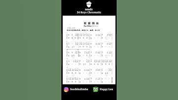 Thumbnail of - Beethoven -《 Für Elise 》 34 seeds kalimba tabs