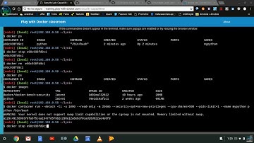 Auditing docker host with docker bench security and lynis