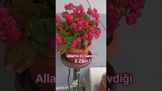 Allahın En Sevdiği 2 Zikir