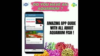 A relaxing hobbie - Aquarium Fish Guide screenshot 4