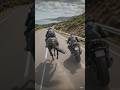 One built by nature, one built by man. Who wins the soul? 🐎💨🏍️