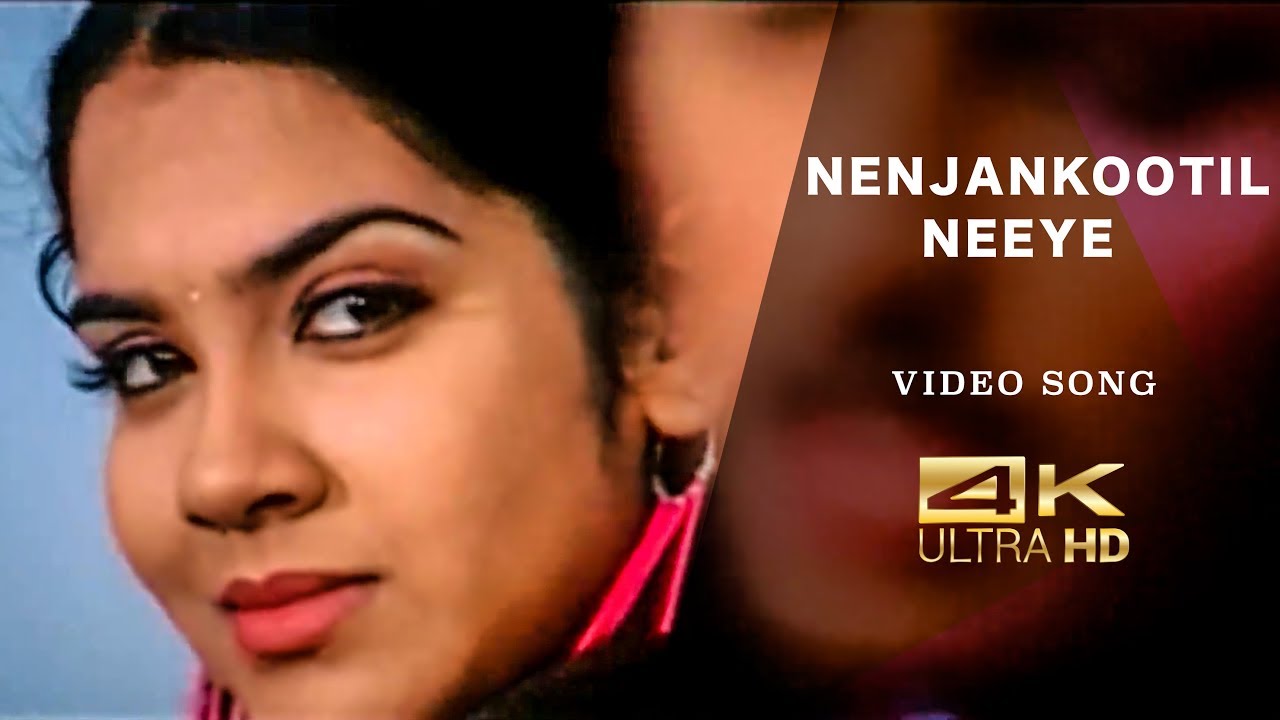 Nenjangootil Neeye   Dishyum  Video Song  Remastered in 4K Vijay Antony Musical