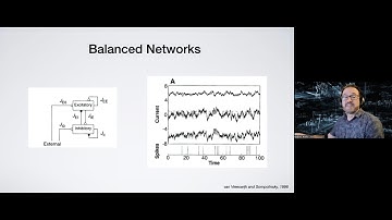 Kresimir Josic, Plasticity and balance in neuronal networks