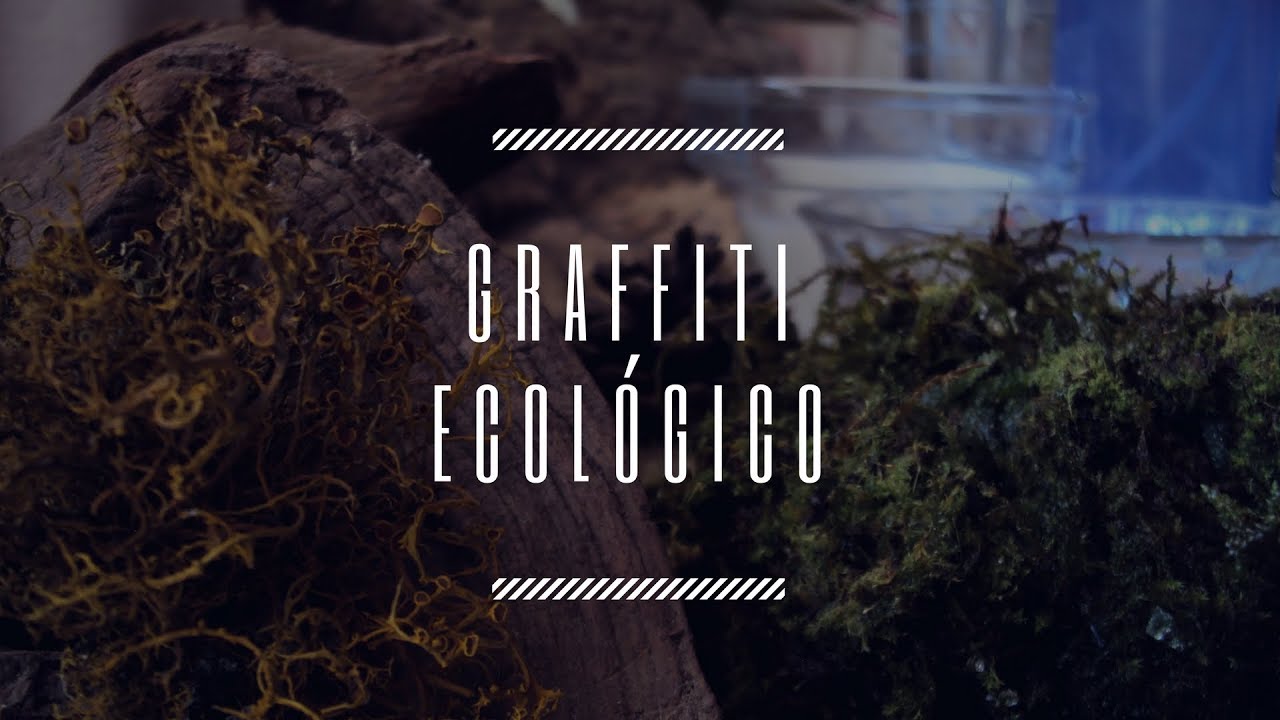 Graffiti Ecológico / Gabriela Silvestre
