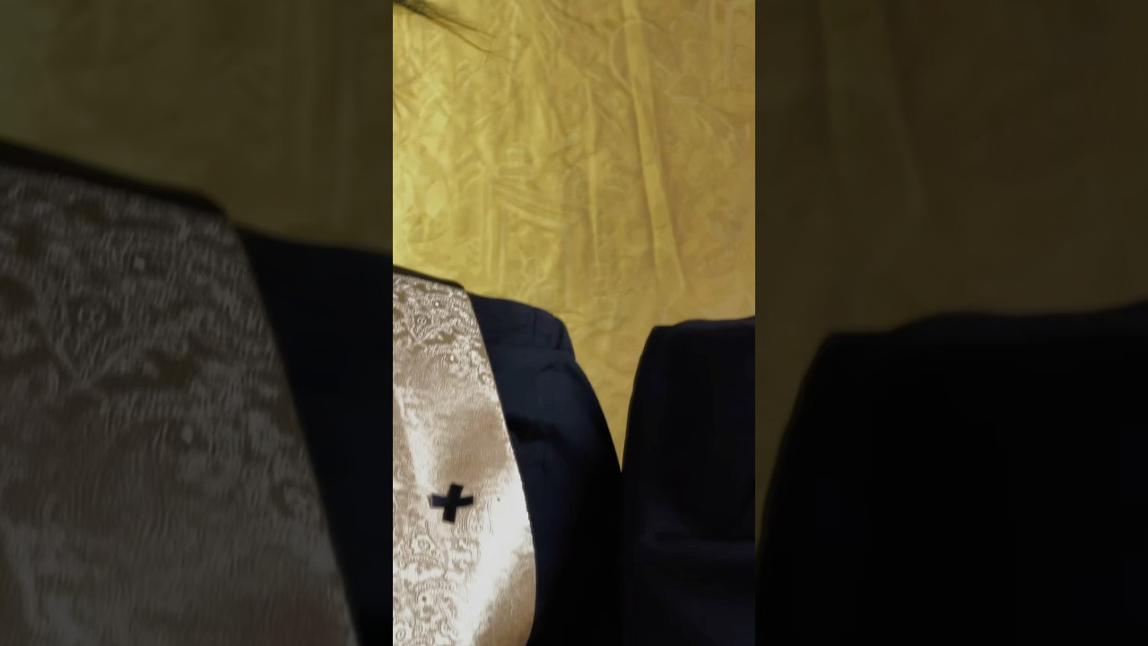 Félix the cat VS Sylvester the cat 🤷‍♀️ cosplay !