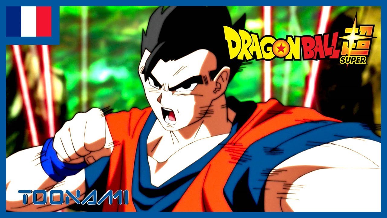 Dragon Ball Super en Français 🇫🇷 | L'ultime combat de Son Gohan ! - YouTube