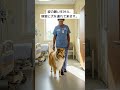 病室へ呼ばれた犬、飼い主を優しく見送る瞬間