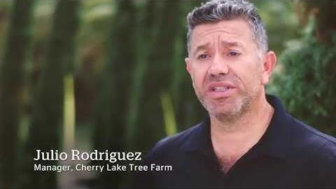 Experience NAU Country (QBE) claim service.