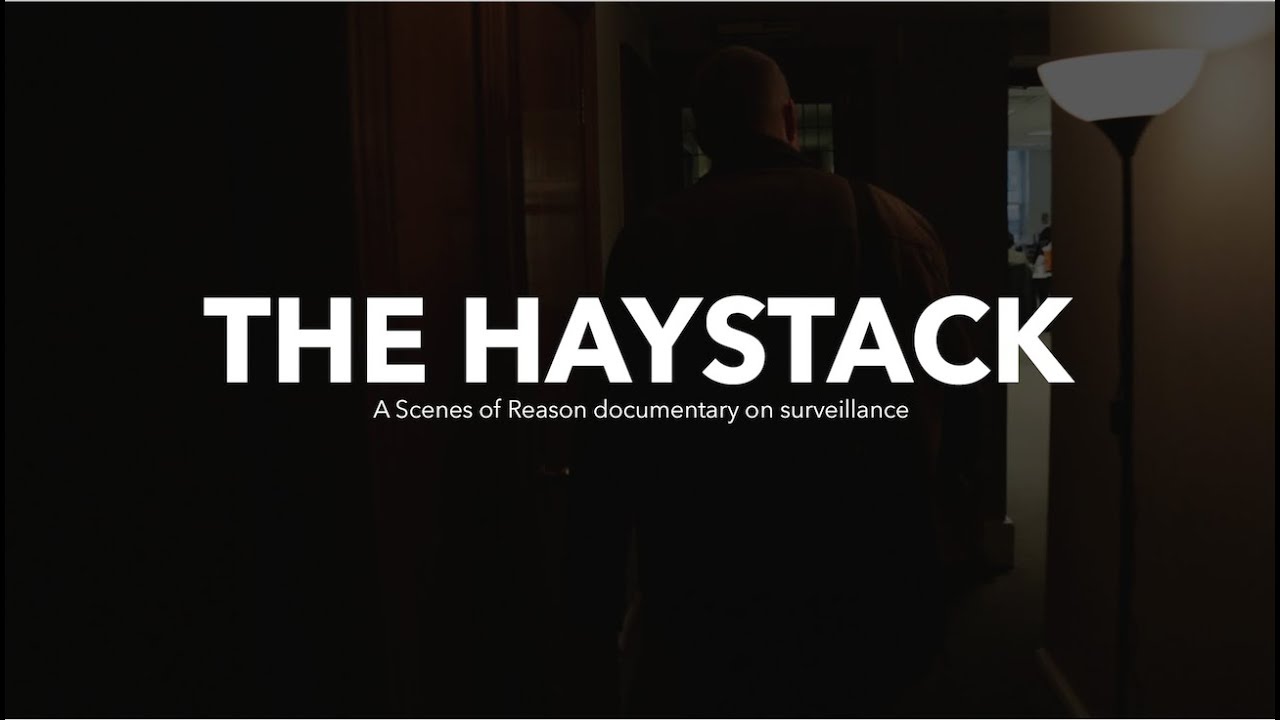 The Haystack