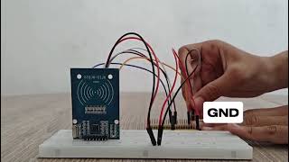 Bikin Absensi Pintar Sendiri? Cuma Modal ESP32 & RFID!