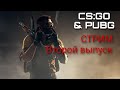 КООП стрим №2 | Солянка сборная ▶ CS:GO & Phasmophobia