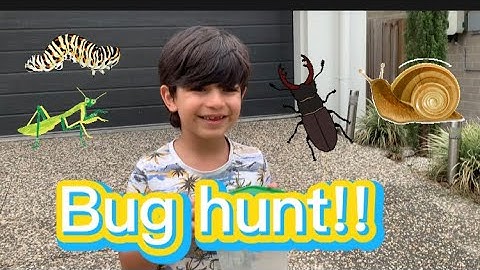 Bug Hunt with Noah #Bug #Hunt #praymantis