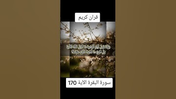 قران كريمسورة البقرة الآية 170#قران_كريم