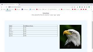 ANIMAL PREDICTION APP screenshot 2
