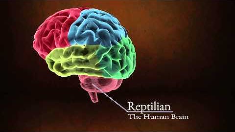 Mathaphobia Commercial