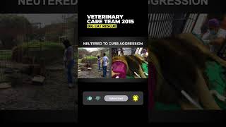 Vet Care Presentation By Dr. Boorstein~Part 39 Of 59