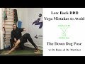 Degenerative Disc Disease Exercises to Avoid and Include for Low Back - Yoga Down Dog Mistakes