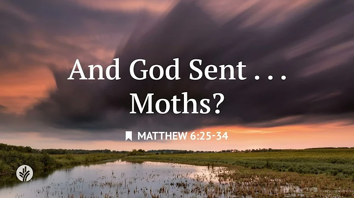 And God Sent...Moths? | Audio Reading | Our Daily Bread Devotional | June 20, 2025
