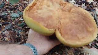 20180606 085514