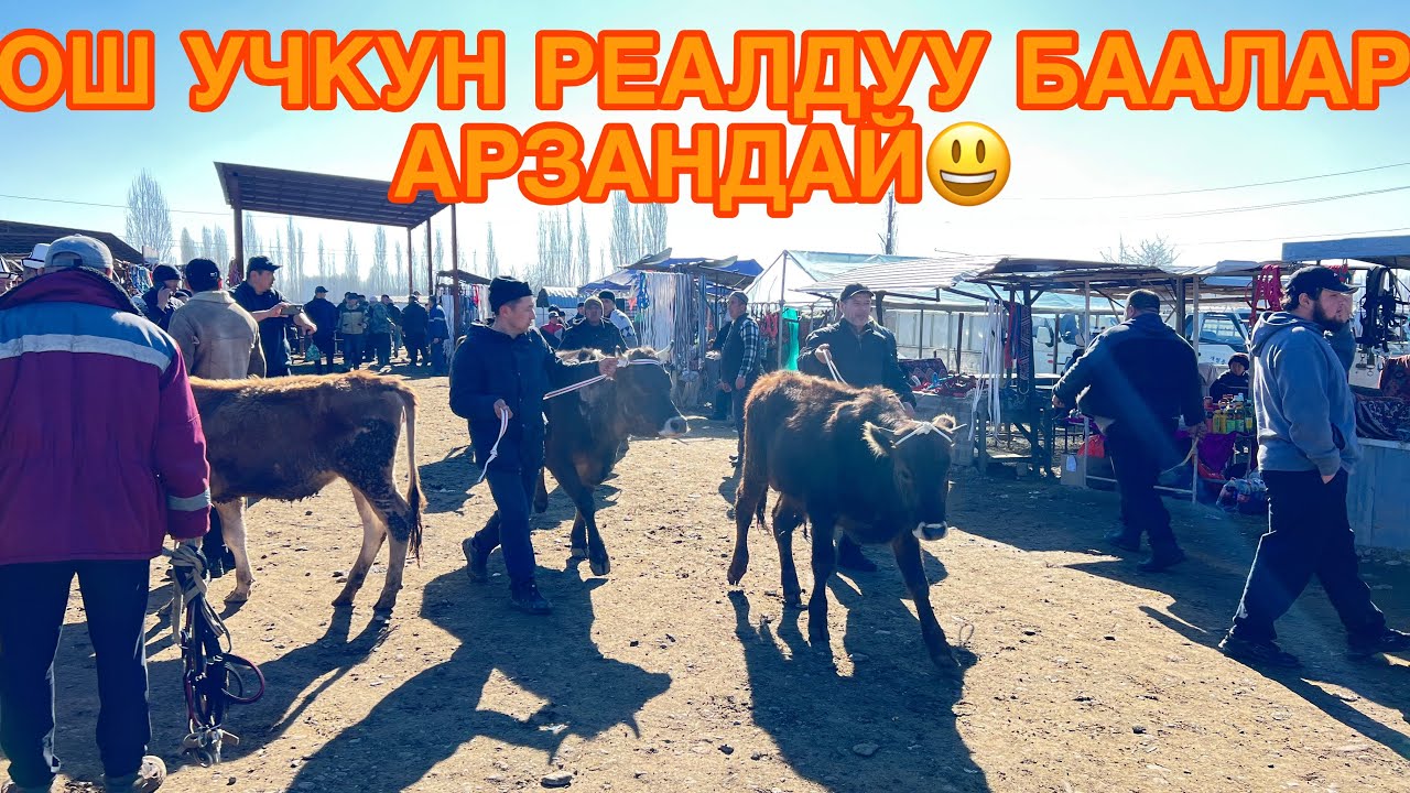 ОШ УЧКУН РЕАЛДУУ БААЛАР АРЗАНДАЙБЫ ДЕЙМДА 😍