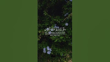 "وقالوا إن ضللنا في الأرض" - رعد الكردي، سورة السجدة #quran