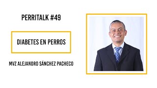 Perritalk #49 Diabetes en Perros