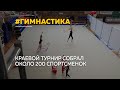 В Барнауле завершились чемпионат и первенство Алтайского края по художественной гимнастике