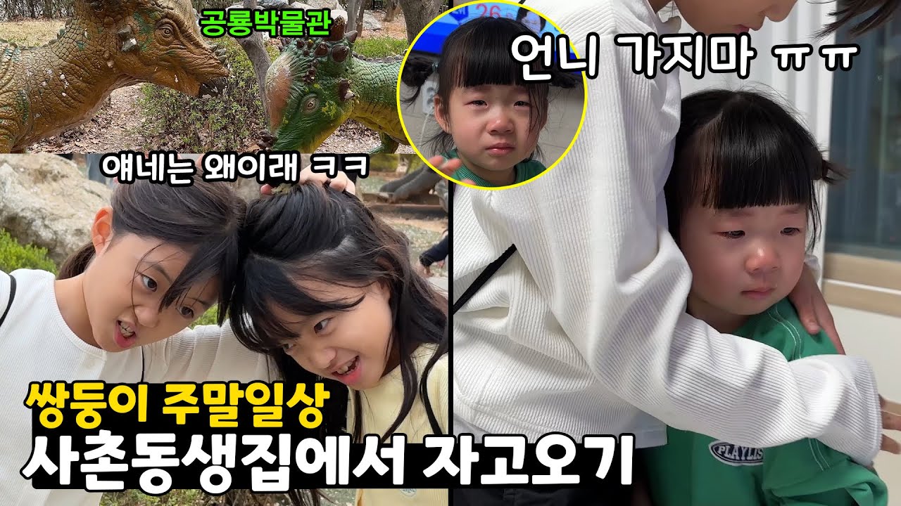사촌동생집에 놀러갔는데 동생이 울면서 가지 말래요 ㅠㅠ 슬퍼~ 공룡박물관에 가서 학교 숙제도 했어요! 주말 쌍둥이 가족일상 브이 ...