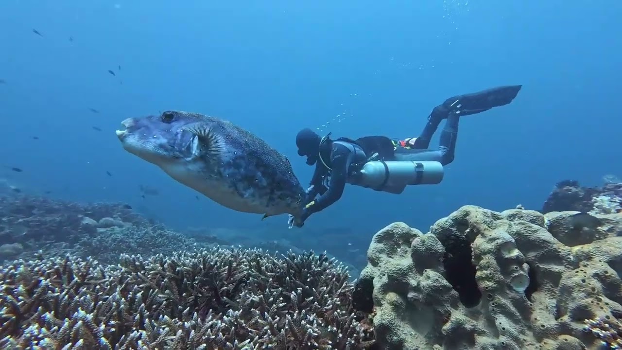 Nusa Penida Feb 2026