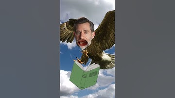 legal eagle DESTROYS drumpf with LAWgic
