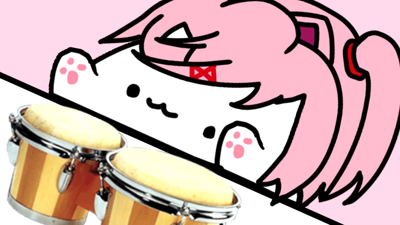 Bongo Cat 5 Roblox Bongo Cat Roblox Bongo Cat Bongo Cat 5