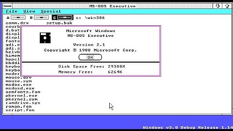 Windows 3.0 Build 14 (1989)