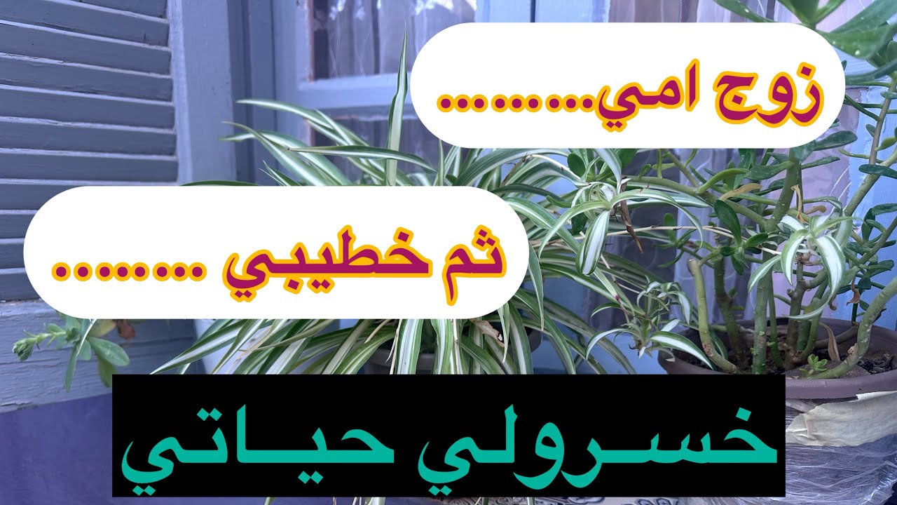 لي دارو فيا راجل يما و زاد كمل عليا خطيبي خربولــي مستقبلي و ضيعوني 