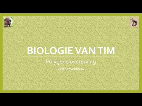 Video: Verschil Tussen Monogene En Polygene Overerving