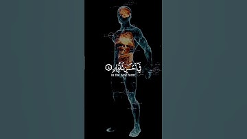 سورة التين ~ الشيخ رعد الكردي يتلوا تلاوة هادئة 🤍🤍