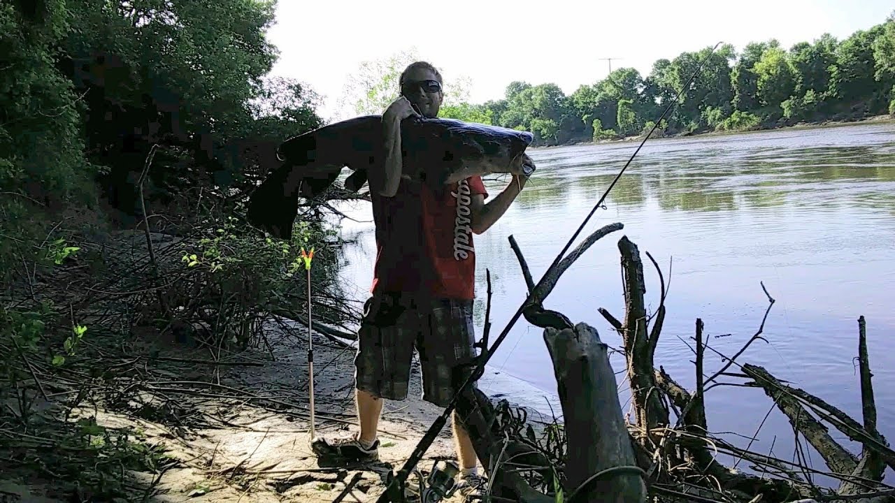 monster catfish on mn river YouTube