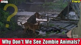 Twd Why Dont We See Zombie Animals?