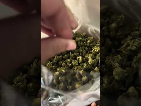 Healies710