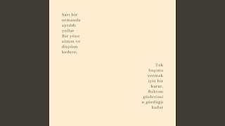 Nasil İstersen Öyle Resimi