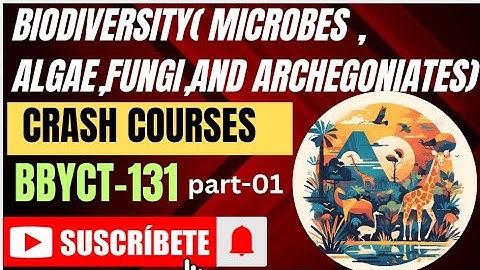 CRASH COURSE|| BIODIVERSITY MICROBES ALGAE FUNGI AND ARCHEGONIATES|| BBYCT-131 PART-01
