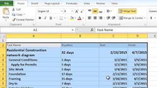 Copy from MS Project to Excel Tip Net Worth